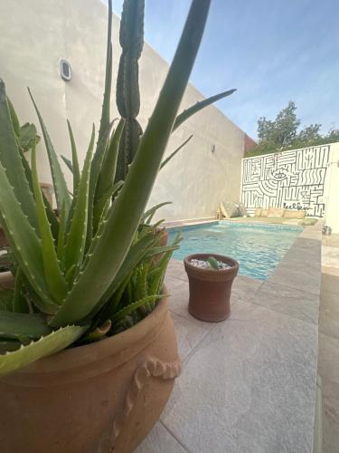 Pousada Noah de Côco - carbon neutral hotel in Paracuru