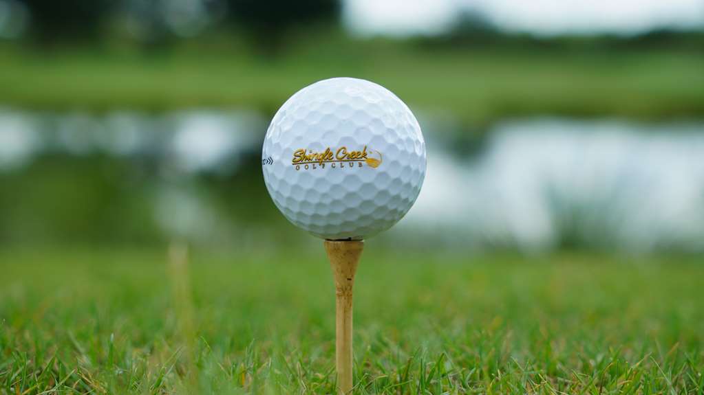 Rosen Shingle Creek - photo 92