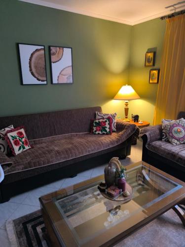 4 Seasons Apartment — Leskovik — photo 2