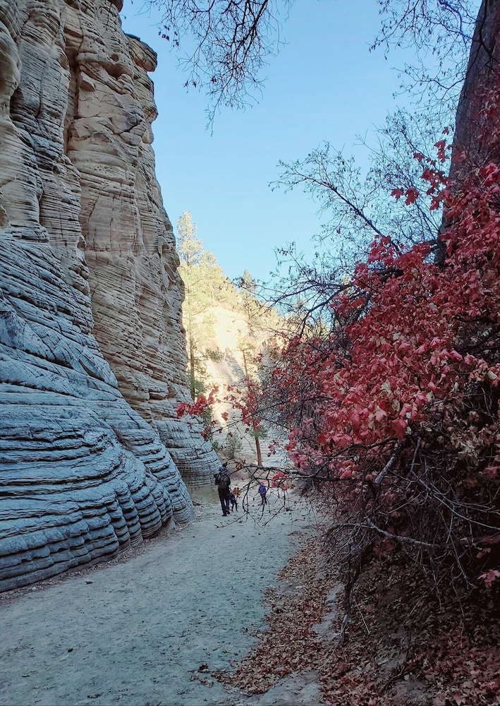 Kanab Suites - photo 41