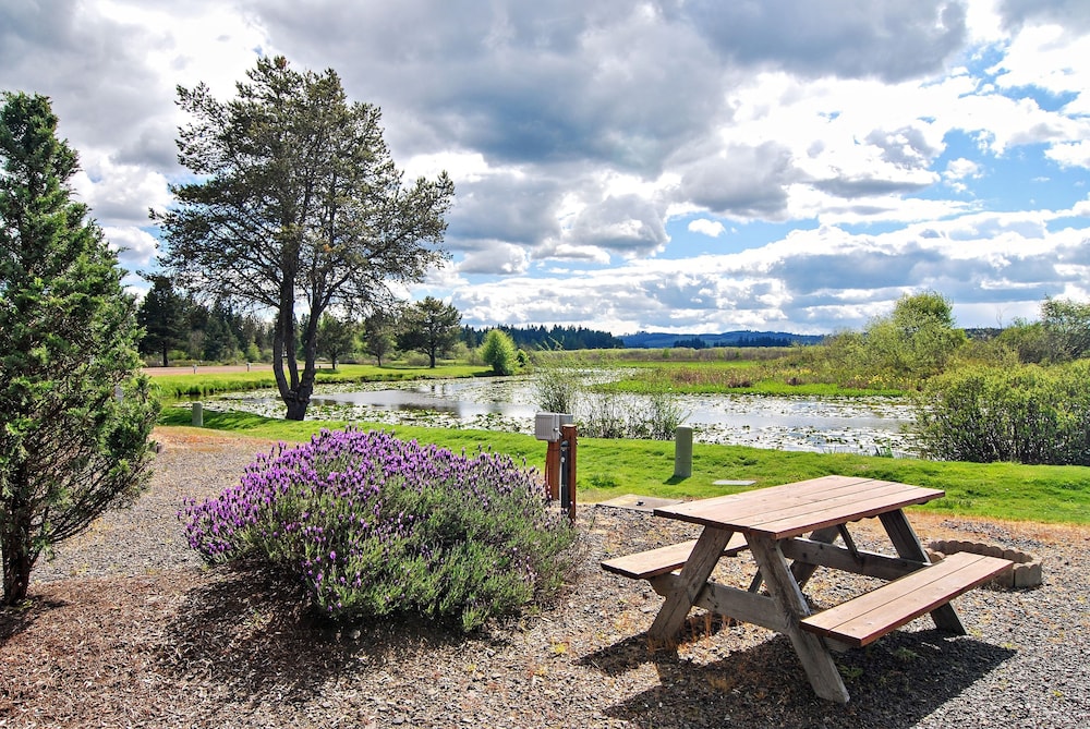Silver Cove RV Resort - photo 3