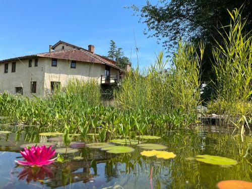 Chezlemoulin Boulangerie - last minute hotel in Unknown City