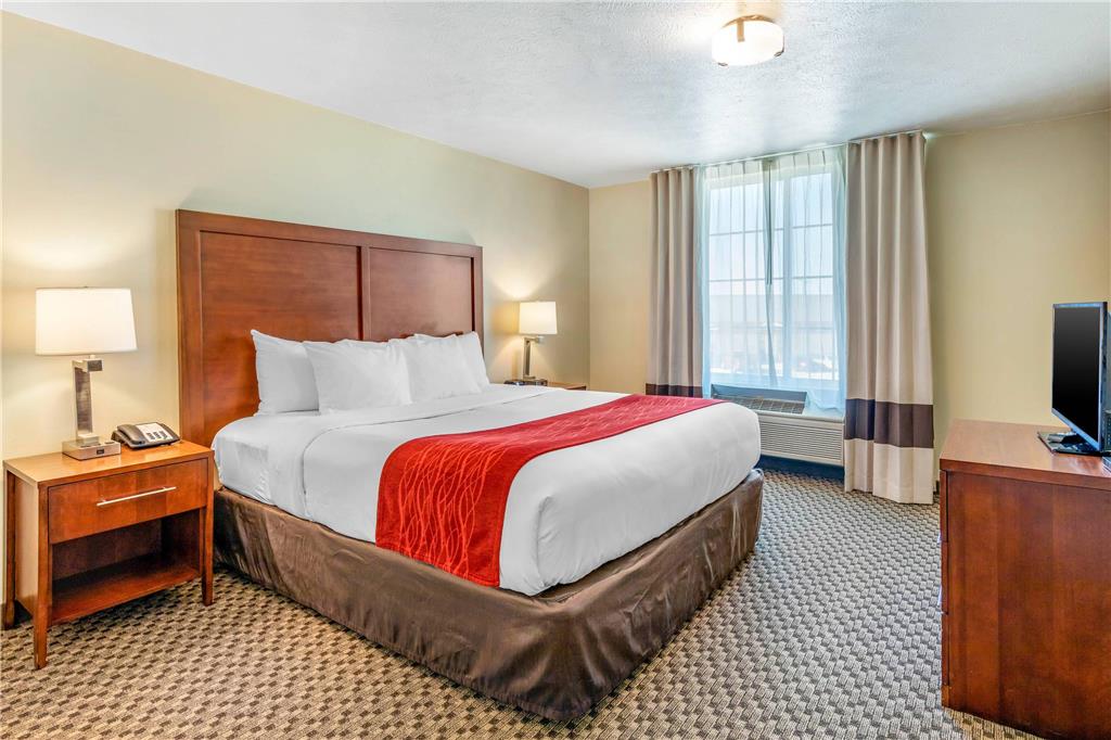Comfort Inn & Suites Lancaster Antelope Valley - photo 22
