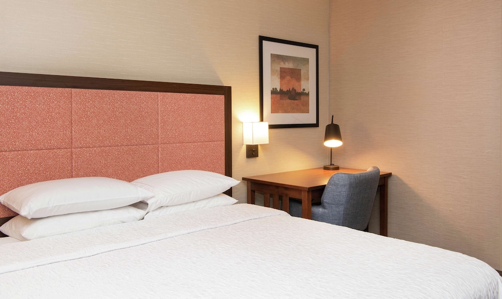 Hampton Inn & Suites Rochester Victor - photo 12