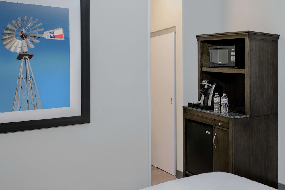 Hilton Garden Inn San Antonio At The Rim - photo 16
