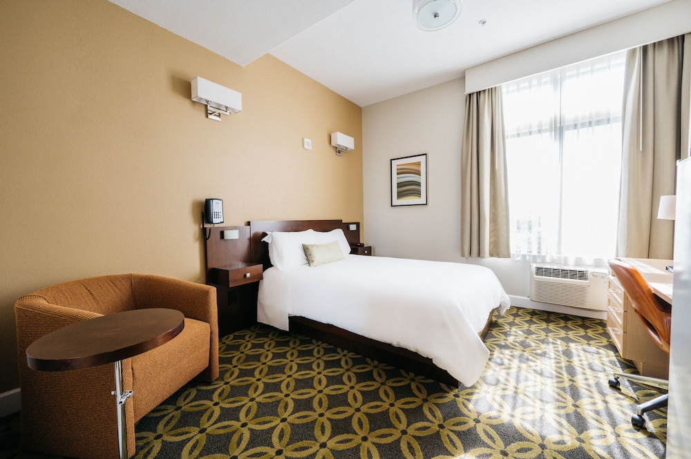 Studios Inn - photo 10