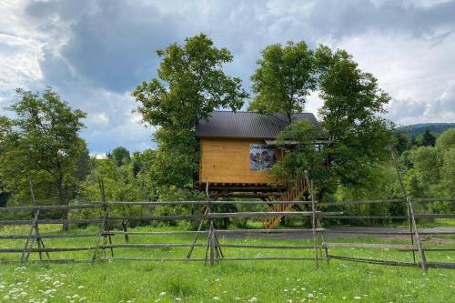 Casuta Veveritelor Casuta in Copac in Moisei, Romania