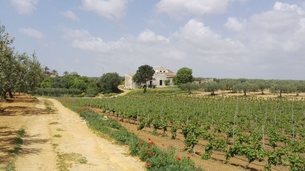 Glamping Nuvolive — Castelvetrano — photo 3