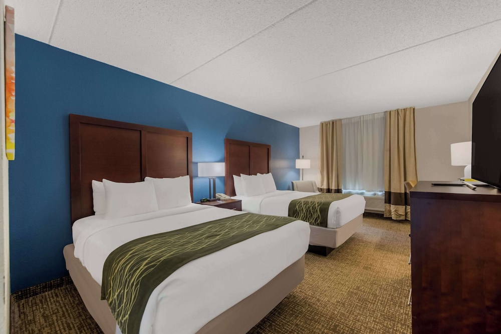 Comfort Inn Newport News Hampton I 64 - photo 10