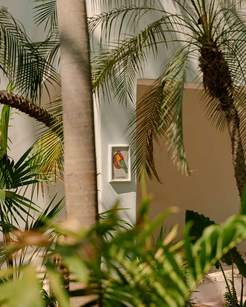 Suite Details