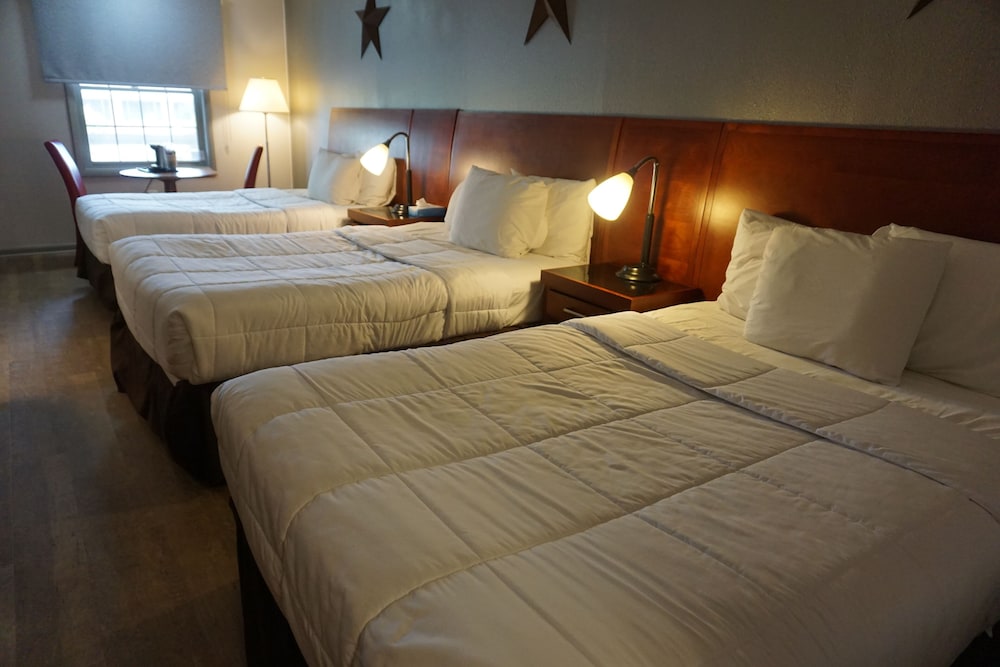 Harvest Drive Family Inn - photo 10