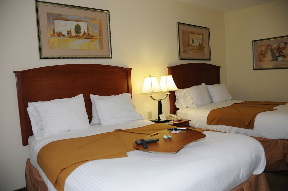 Holiday Inn Express Hotel & Suites Dallas Grand Prairie I 20 by IHG - photo 3