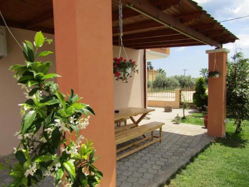 Olive Grove House — Limenaria — photo 3
