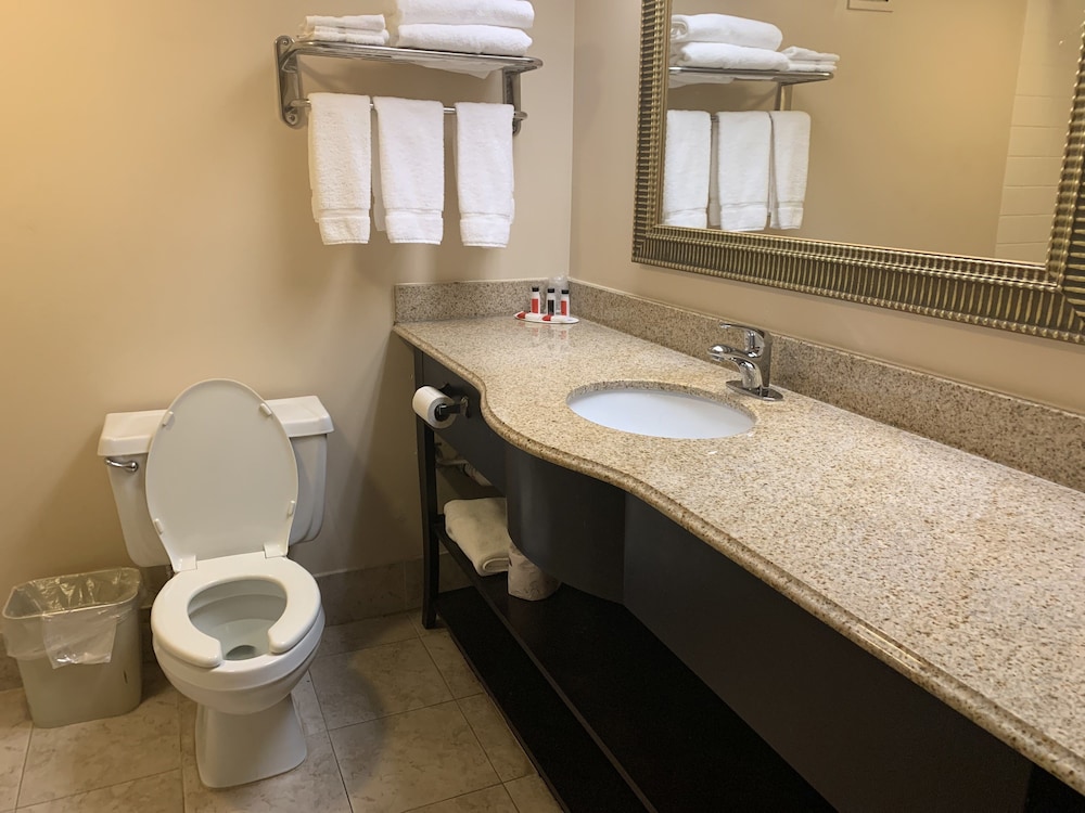 Ramada by Wyndham Gainesville - photo 9