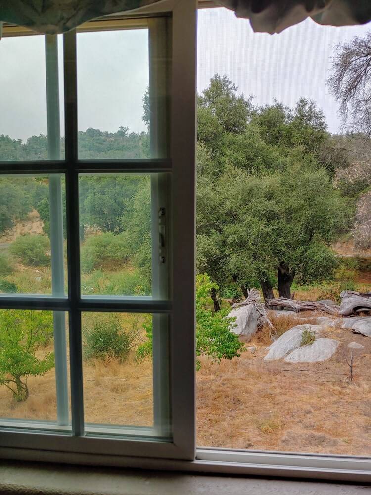 Bird Watcher Inn - photo 16
