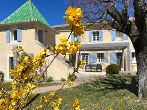 Mas La Magnanerie Du Ventoux — Malaucene