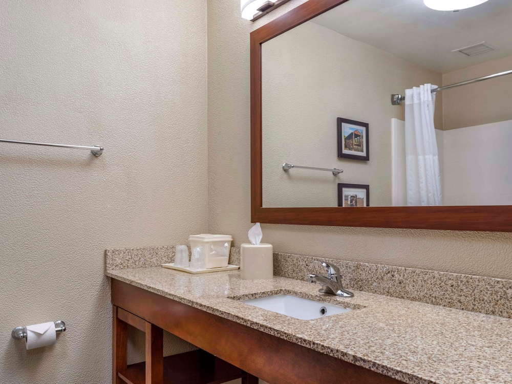 Comfort Inn Duncansville Altoona - photo 24