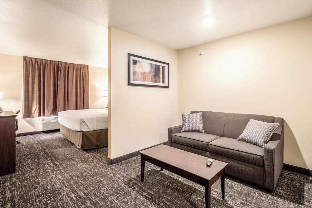 Cobblestone Inn & Suites Kermit - photo 16