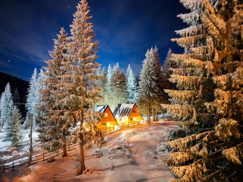 Gorske Vile Jahorina in Unknown City, Bosnia and Herzegovina