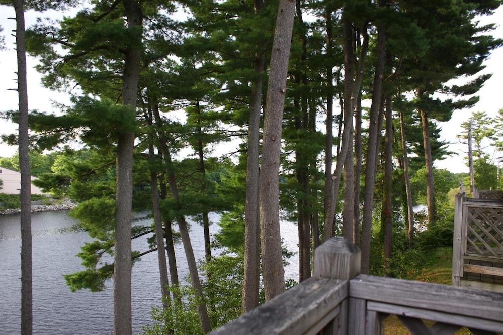 Milford Motel On the River - photo 21