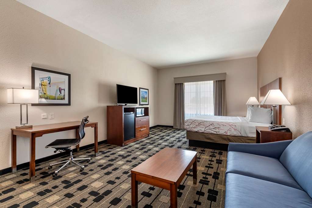Best Western Plus Big Lake Inn - photo 22