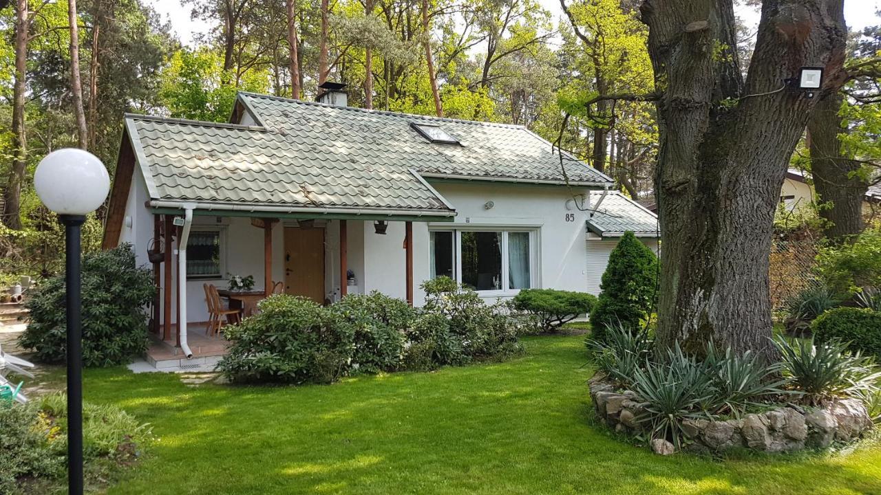 Fort Janowek pet-friendly hotel Wieliszew