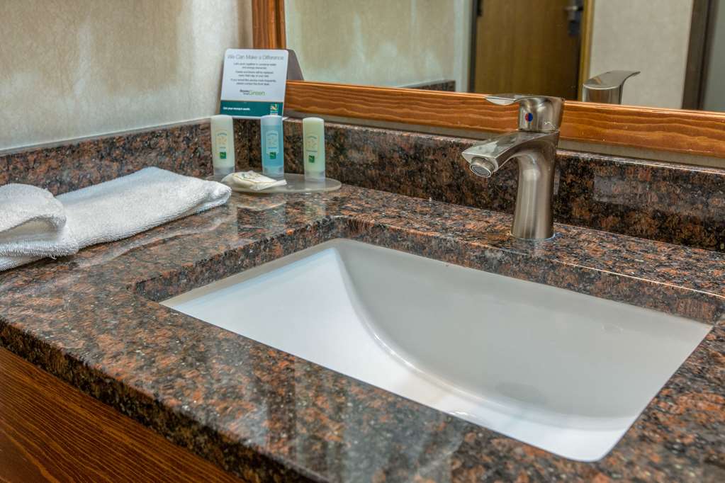 Quality Inn & Suites University - photo 25