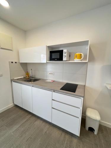 Apartment Ivica