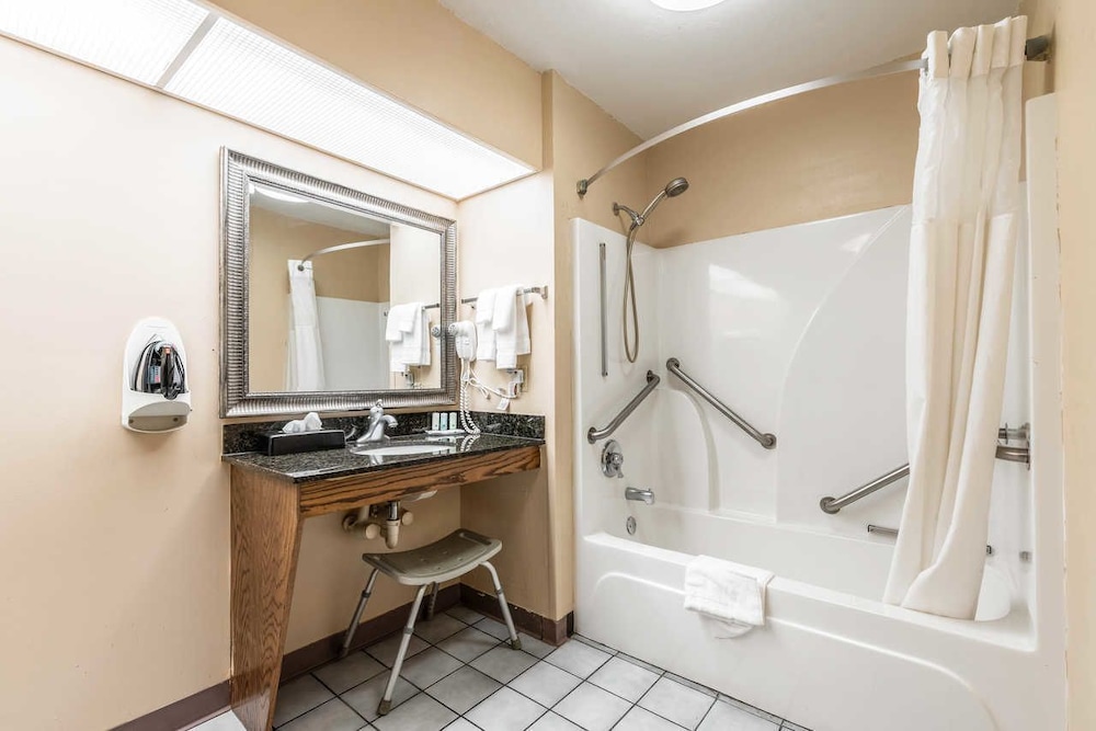 Quality Inn Decatur River City - photo 27