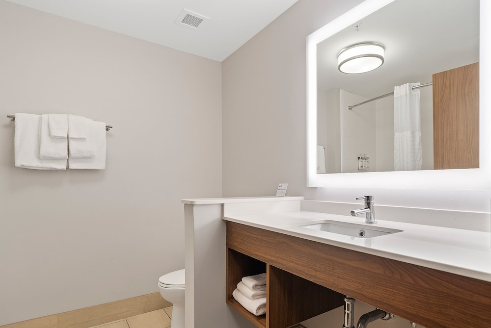 Holiday Inn Express and Suites Macon North - photo 18