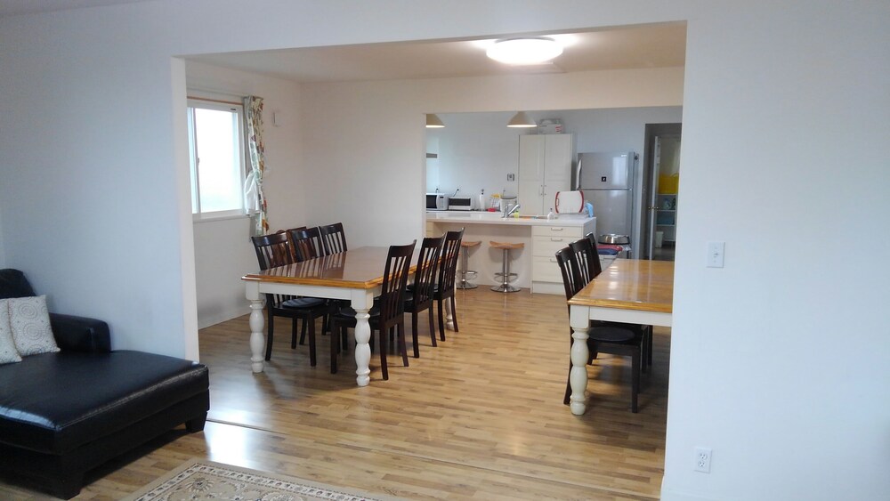 Tea Trees in Tateyama, Japan