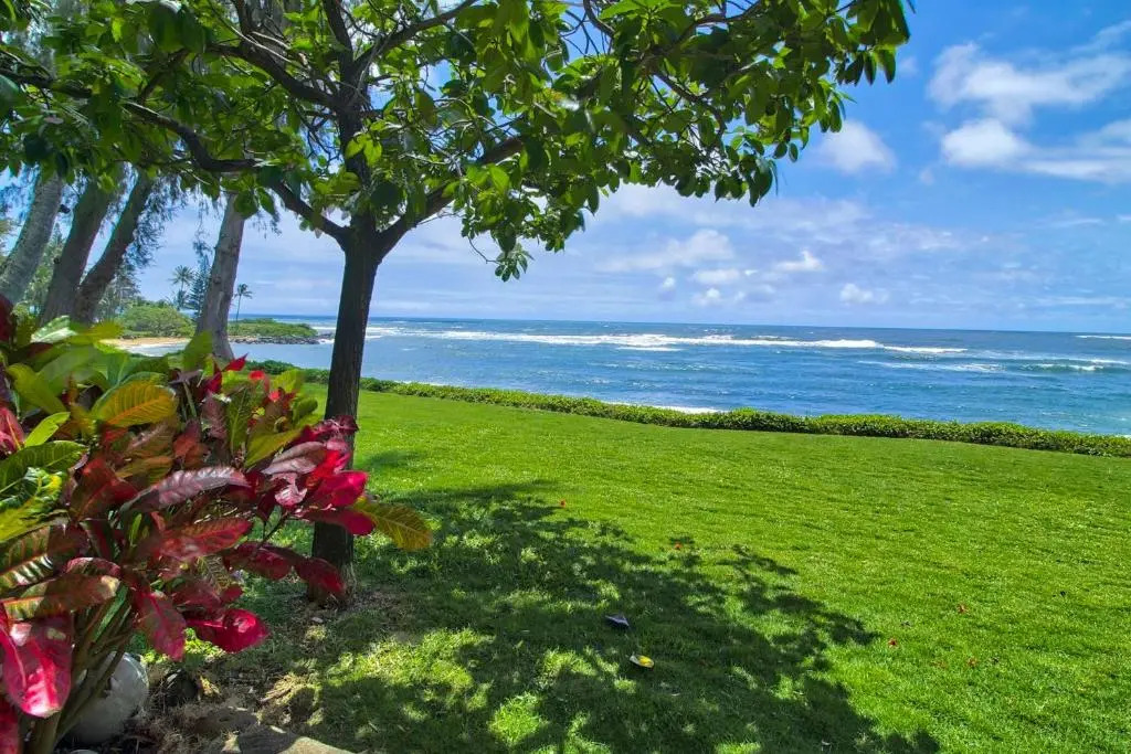 Kapaa Sands - photo 3