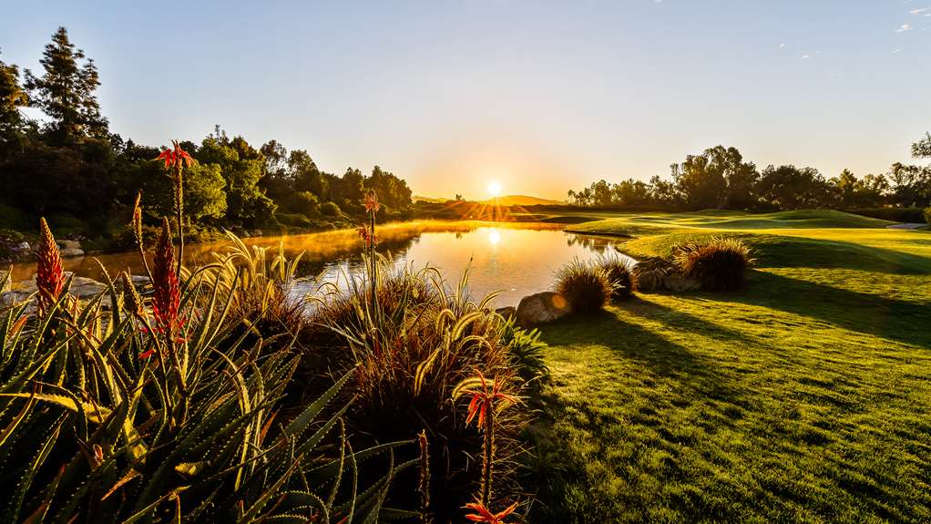 Park Hyatt Aviara Resort Golf Club & Spa - photo 64