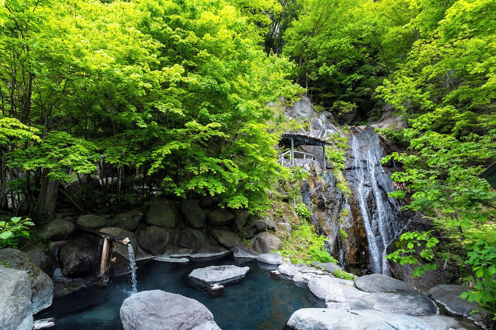Hatcho No Yu Hot Spring Ryokan 15116480 — Tochigi