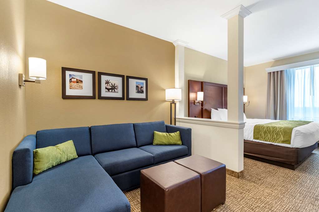 Comfort Suites San Antonio Ft. Sam Houston SAMMC Area - photo 16