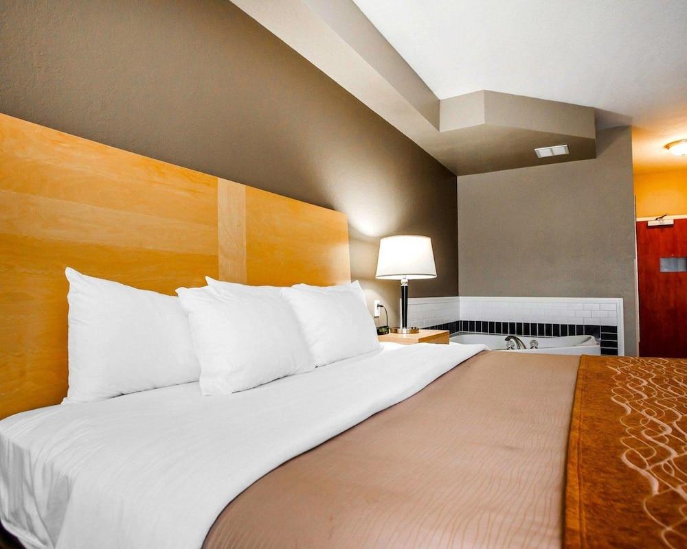 Comfort Inn Kansas City Airport - photo 13