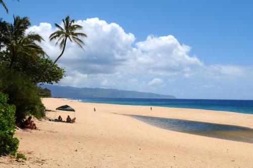 Kalani Hawaii Private Lodging - photo 145