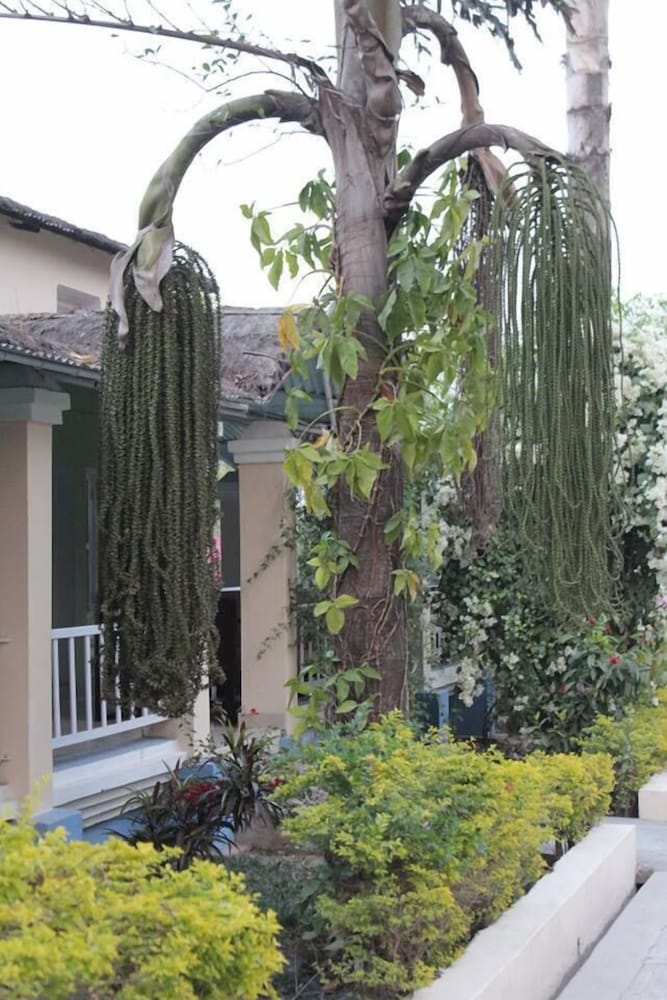 Suda Farm Sanctum in Mahendranagar, Nepal