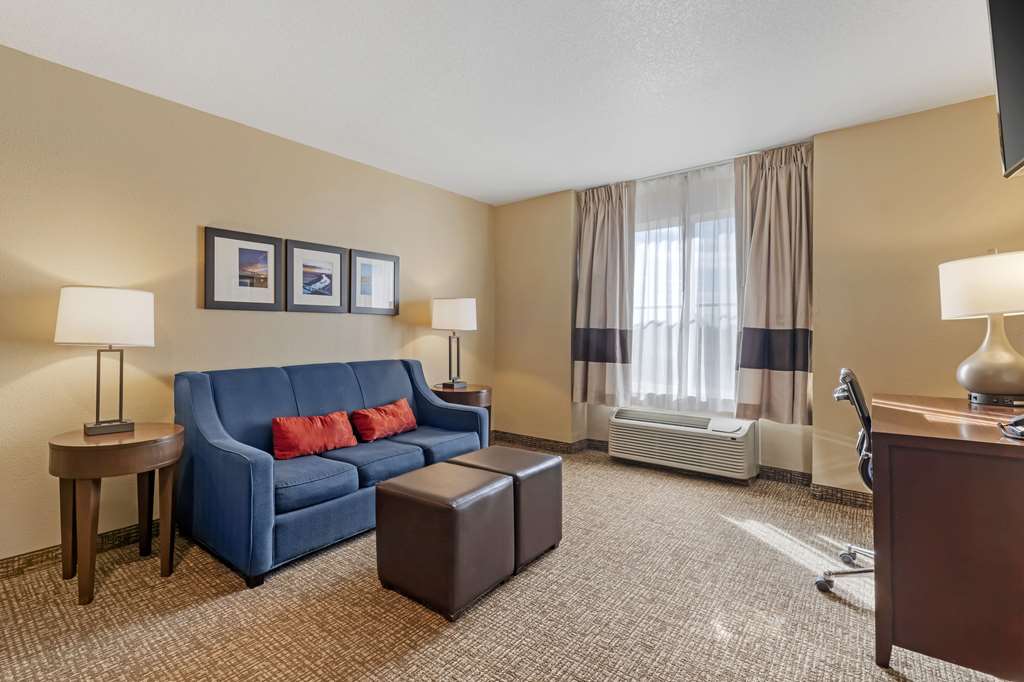 Comfort Inn Lathrop Stockton Airport - photo 34