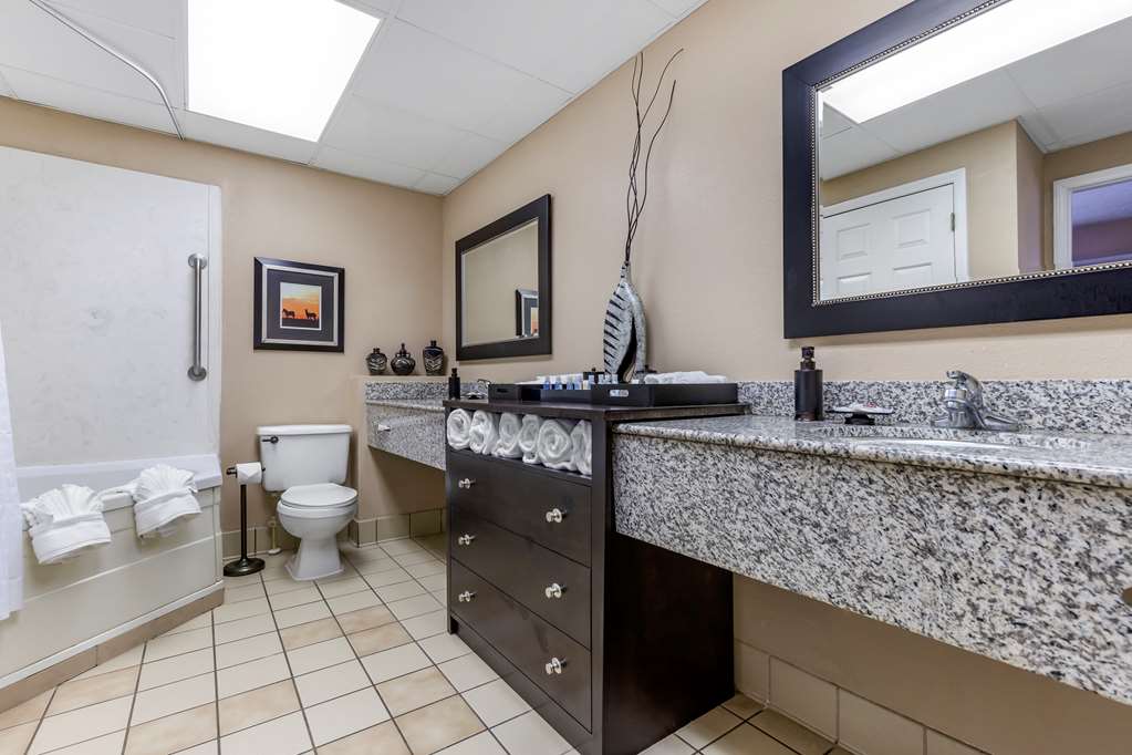 Comfort Inn & Suites Asheboro East - photo 21