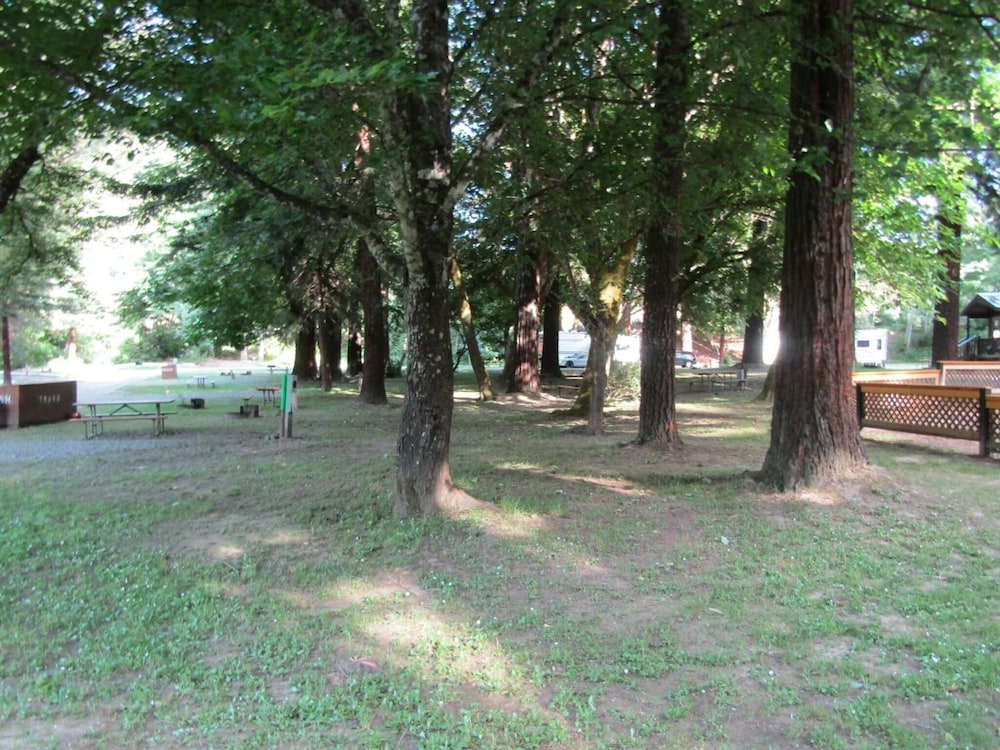Dean Creek Resort - photo 36