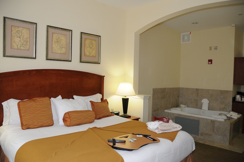 Holiday Inn Express Hotel & Suites Dallas Grand Prairie I 20 by IHG - photo 5
