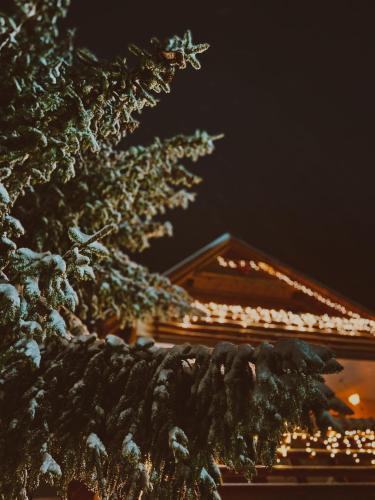 Villa Pahulja Vlašić — 5-Star Luxury Hotel in Vlasic, Bosnia and Herzegovina