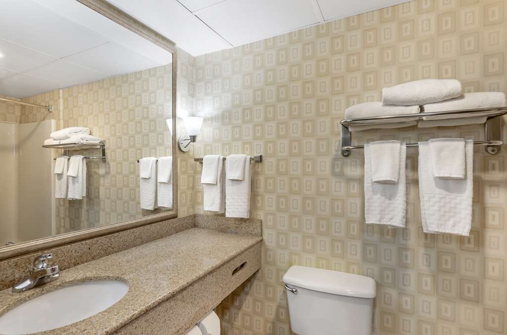 Best Western Plus Waynesboro Inn & Suites Conference Center - photo 40