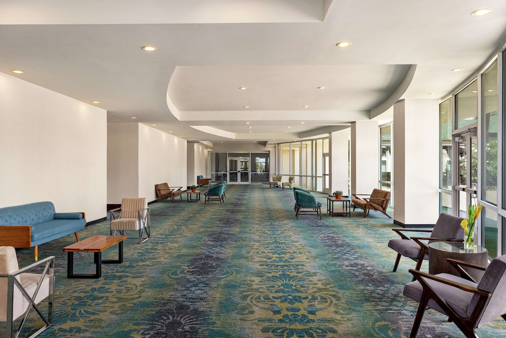 Hilton Garden Inn South Padre Island Beachfront - photo 64