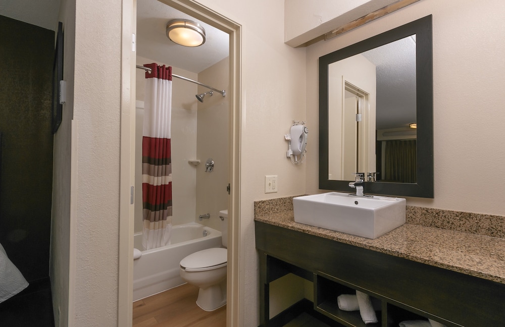 Red Roof Inn PLUS Baltimore Washington DC BWI South - photo 21