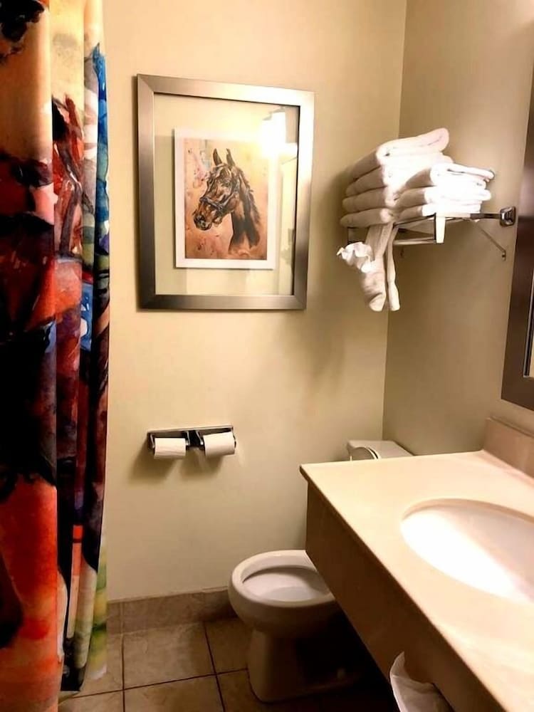 Cedar Stables Inn and Suites - photo 16
