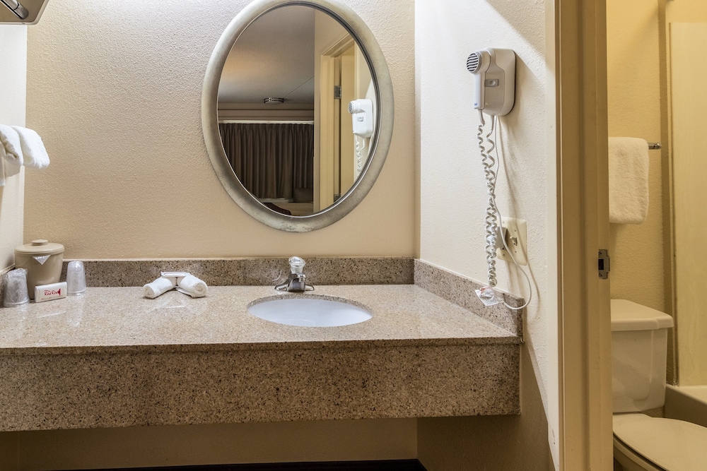 Red Roof Inn Detroit Metro Airport West - photo 24