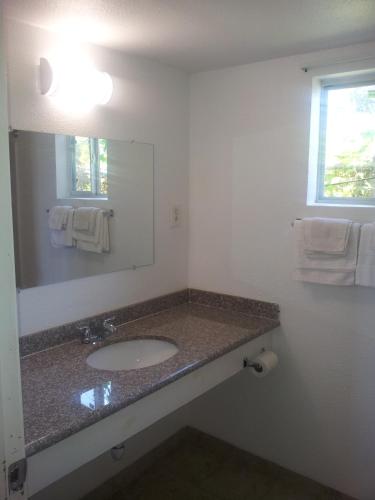 Ace Motel - photo 19