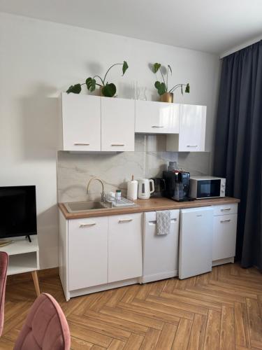 Dawna Mleczarnia Apartamenty SOSNOWY — Nowa Ruda — photo 4